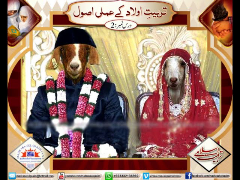 Tarbiyat-e-aulad kay amali usool - Part 2 - Syed Abid Hussain Zaidi